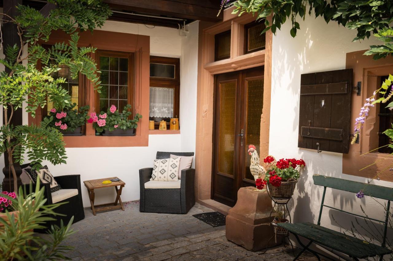 Maison Dietenbeck Wissembourg Dış mekan fotoğraf