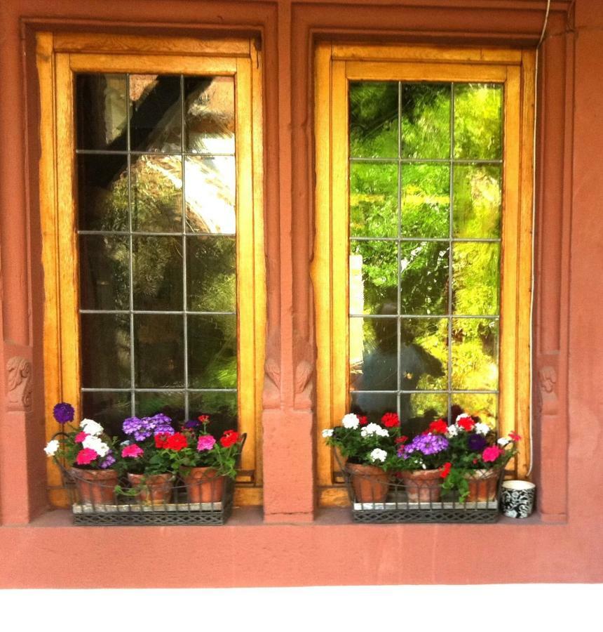 Maison Dietenbeck Wissembourg Dış mekan fotoğraf