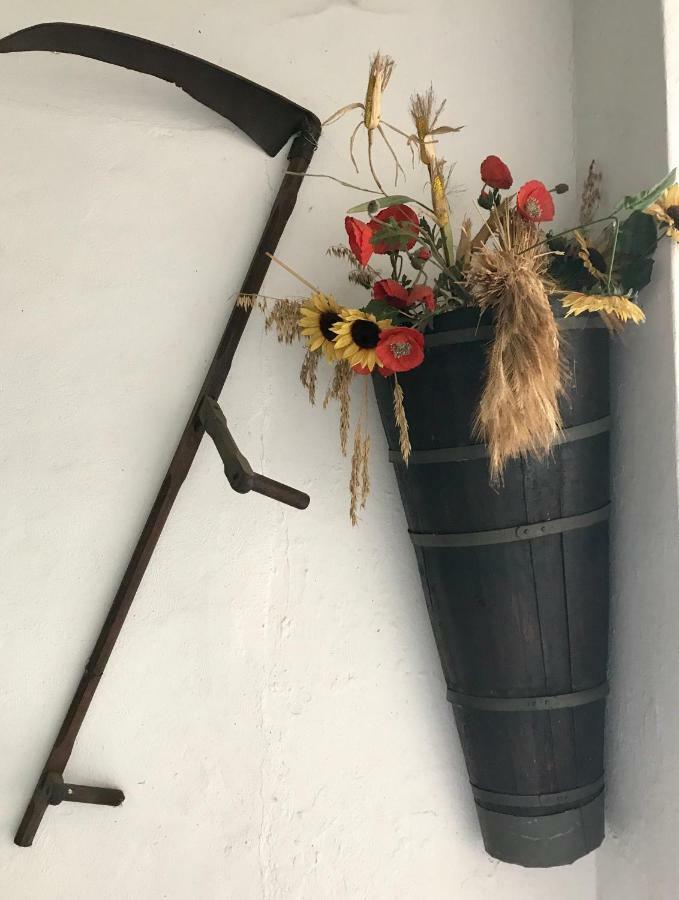 Maison Dietenbeck Wissembourg Dış mekan fotoğraf