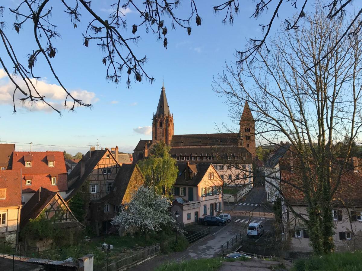 Maison Dietenbeck Wissembourg Dış mekan fotoğraf